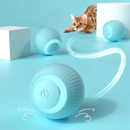 Goodies | Smart Dog Toy Ball